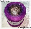Why Not ?   - 5 Farben