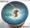Baracuda - 4 Farben